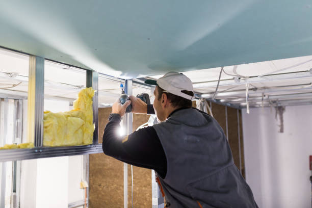 Best Insulation Repair Services  in Dansville, NY