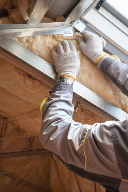 Best Commercial Insulation Contractor  in Dansville, NY