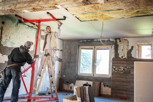 Best Insulation for New Construction  in Dansville, NY