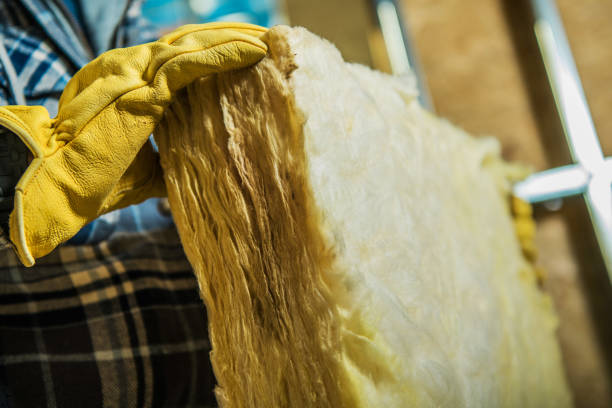 Best Cellulose Insulation  in Dansville, NY