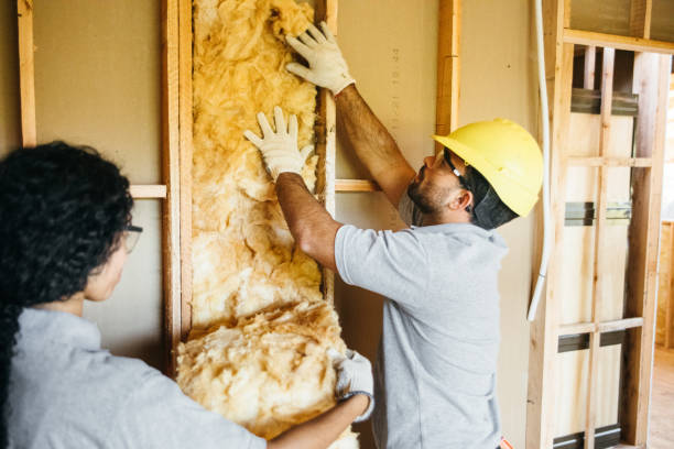 Best Attic Insulation Installation  in Dansville, NY