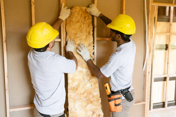 Best Attic Insulation Installation  in Dansville, NY