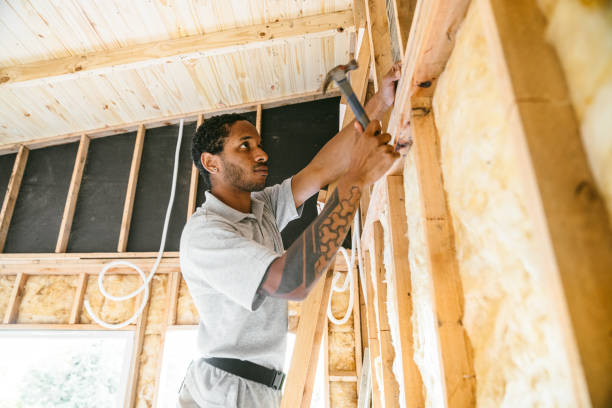 Best Cellulose Insulation  in Dansville, NY