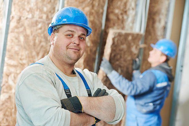 Best Home Insulation Services  in Dansville, NY