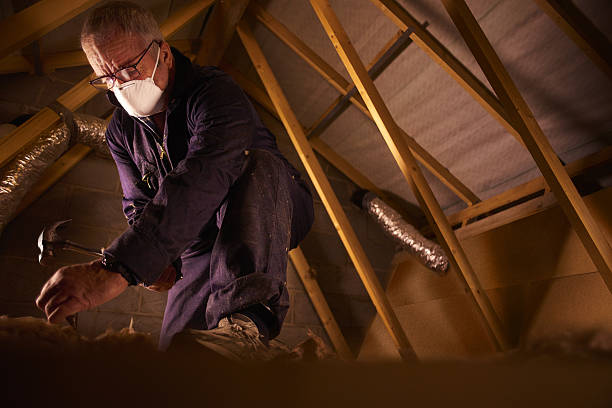 Best Best Insulation Companies  in Dansville, NY