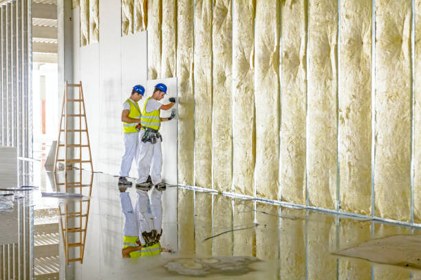 Best Attic Insulation Installation  in Dansville, NY
